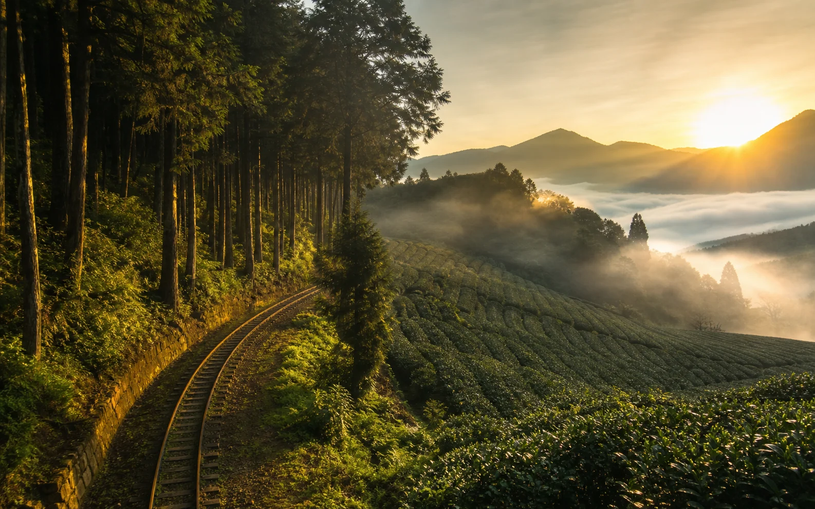 雲林縣包車旅遊風景示意圖